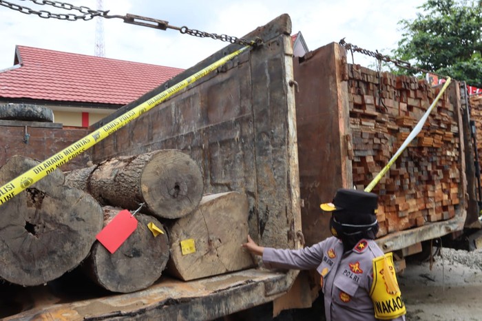 Polda Kalteng mengamankan 2 unit alat berat, 3 truk, dan kayu olahan.