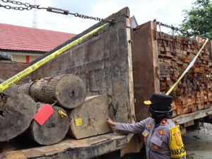 Polda Kalteng Ungkap Kasus Pembalakan Liar, Pelaku Sudah Raup Rp 20 M