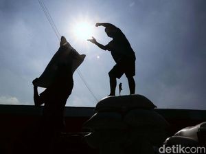 Terima Penghargaan Swasembada Beras, Jokowi: 3 Tahun Tidak Impor