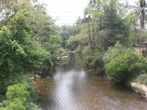 Militer Myanmar Gerebek Pusat Penipuan Online, Ratusan Orang Kabur ke Thailand