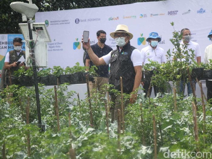 Ridwan Kamil menargetkan lahir 100 ribu patani baru