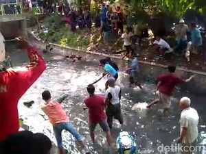Warga Kota Pasuruan Tangkap Ular Sanca 4 Meter di Sungai, 2 Orang Digigit
