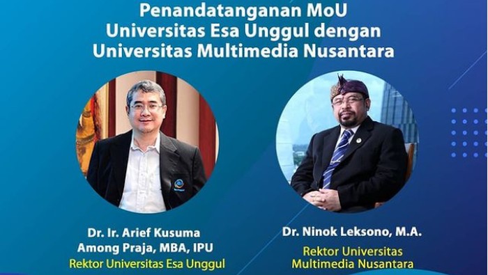 UMN