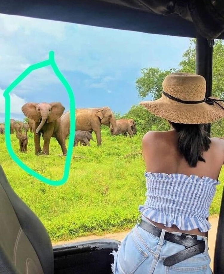 Foto Terlalu Diedit Foto Terlalu Diedit