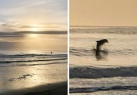 fotoinet kumpulan foto keren dengan timing tepat