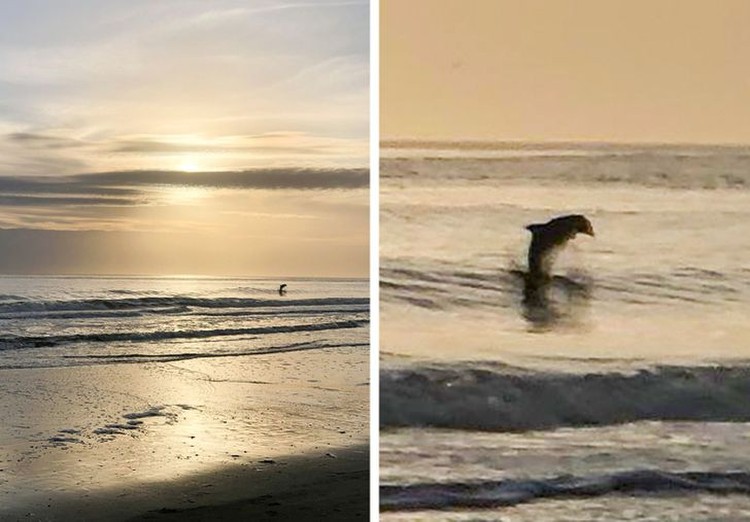 fotoinet kumpulan foto keren dengan timing tepat