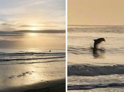 Kumpulan Foto Keren di Waktu yang Tepat