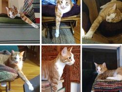 Kumpulan Foto Keren di Waktu yang Tepat