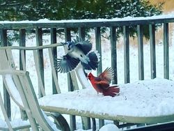 Kumpulan Foto Keren di Waktu yang Tepat