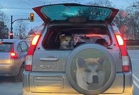 fotoinet kumpulan foto keren dengan timing tepat