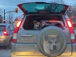 Kumpulan Foto Keren di Waktu yang Tepat