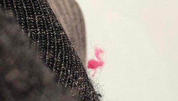 Bulu di kaus kaki terlihat seperti flamingo. Foto: Brightside/theblueshad0w/Reddit