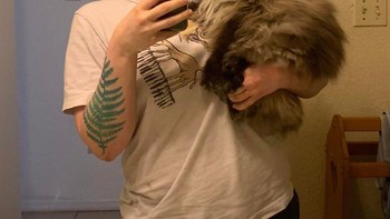 Nama kucing ini adalah Mie, dan sepertinya ada sesuatu yang membuatnya takut. Untungnya, si pemilik kucing menangkap wajah si kucing saat cantik tepat pada waktunya. Foto Brightside/friendlynoodless/Reddit