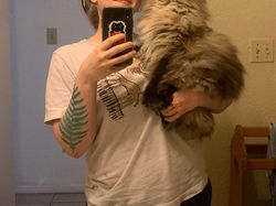 Kumpulan Foto Keren di Waktu yang Tepat