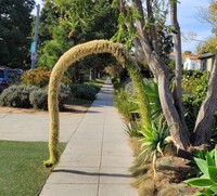 fotoinet kumpulan foto keren dengan timing tepat