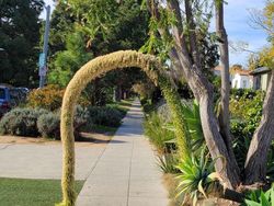 Kumpulan Foto Keren di Waktu yang Tepat