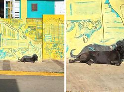 Kumpulan Foto Keren di Waktu yang Tepat