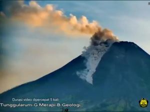 Dalam 6 Jam, Gunung Merapi Luncurkan Awan Panas 4 Kali