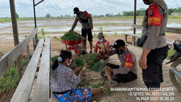 Kawal Food Estate, Polisi-Warga Kalteng Bangun Pondok Hasupa Hasundau