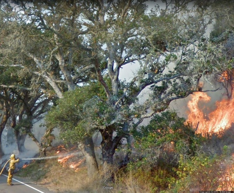 Kejadian Tak Terduga Terekan Google Street View