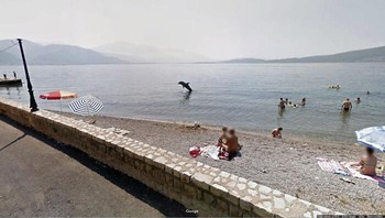 Lumba-lumba melompat di dekat pantai. Foto: dok Jon Rafman
