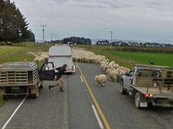 Kejadian Tak Terduga yang Terekam Google Street View Bikin Terperangah