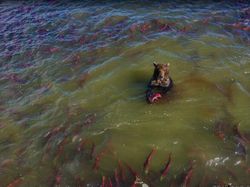 Kejadian Tak Terduga yang Terekam Google Street View Bikin Terperangah