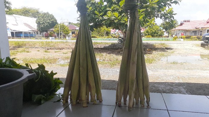 Sayur Lilin yang unik di Papua