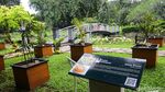 Potret Taman Tematik Baru di Kebun Raya Bogor