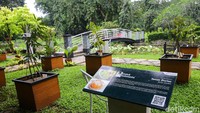 Di Kebun Raya Bogor juga ada Taman Durian yang dibangun sebagai upaya dalam mengenalkan durian dari Kalimantan. Jenis durian di taman ini adalah durian Kerantungan dan durian Lai Mas. 
