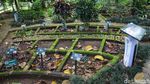 Potret Taman Tematik Baru di Kebun Raya Bogor