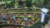 Selain itu, di taman ini juga ada tumbuhan-tumbuhan yang memiliki khasiat untuk pengobatan, seperti jahe, temulawak, dan sebagainya. 