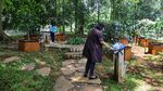 Potret Taman Tematik Baru di Kebun Raya Bogor