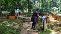 Traveler yang doyan ngopi tapi belum pernah melihat langsung pohon kopi, bisa menengoknya di Taman Kopi. 