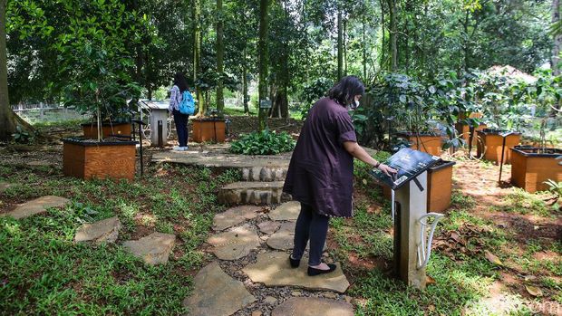 Taman tematik di Kebun Raya Bogor