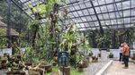 Potret Taman Tematik Baru di Kebun Raya Bogor
