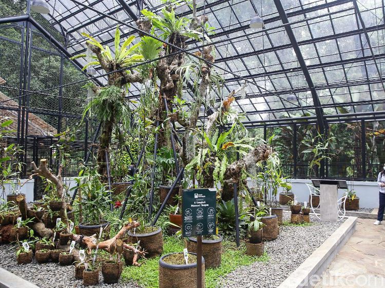 Potret Taman Tematik Baru di Kebun Raya Bogor