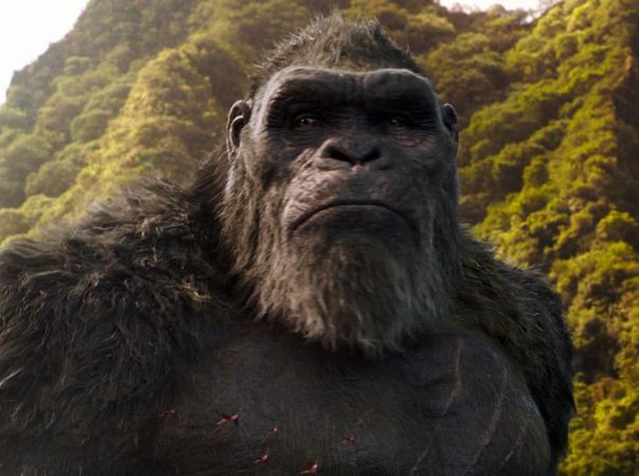Godzilla vs. Kong