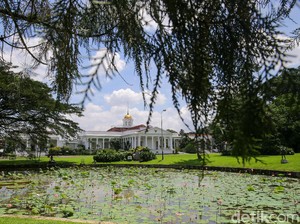 Ini 10 Kegiatan Seru yang Bisa Dilakukan di Kebun Raya Bogor