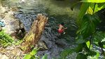 Foto: Menyatu dengan Alam di Wisata Leuwi Pamipiran