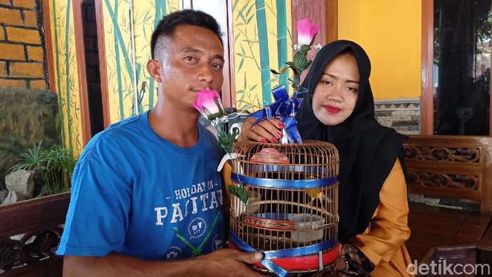 pernikahan mas kawin burung kenari