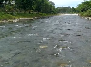 My Trip My Adventure: Menjelajahi Jernihnya Sungai Bahorok Sumut
