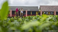 Namun untuk sekolah ini diperbolehkan lebih dulu sebab akses kampung yang tak banyak berinteraksi langsung dengan warga lain karena lokasi yang jauh.  