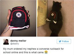 Belanja Online yang Tidak Sesuai Harapan, Ngakak Abis!