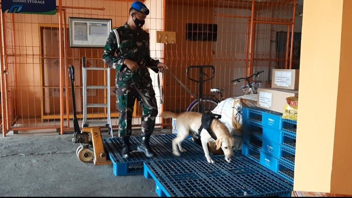 Brigadir anjing diturunkan untuk sisir bandara Adi Soemarmo, Boyolali pascaledakan bom Makassar. Foto dok tim bandara.