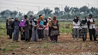 Luas areal lahan sebesar 8.000 meter persegi di Rorotan telah dimanfaatkan oleh Pemerintah Kota Jakarta Utara untuk menampung kurang lebih 1.500 petak makam jenazah pasien COVID-19.