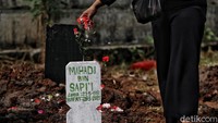 Luas lahan pertanian di Rorotan, Cilincing, Jakarta saat ini tersisa seluas kurang lebih 319 hektare yang memiliki varietas padi unggulan antara lain Ciherang, Impari 30, dan Situ Bagendit.