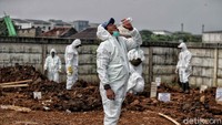 Wakil Gubernur DKI Jakarta Ahmad Riza Patria mengatakan peruntukkan lahan untuk Taman Pemakaman Umum (TPU) Rorotan telah diperhitungkan secara bertahap. Perhitungan agar TPU Rorotan tidak akan mengganggu persawahan di kawasan tersebut.