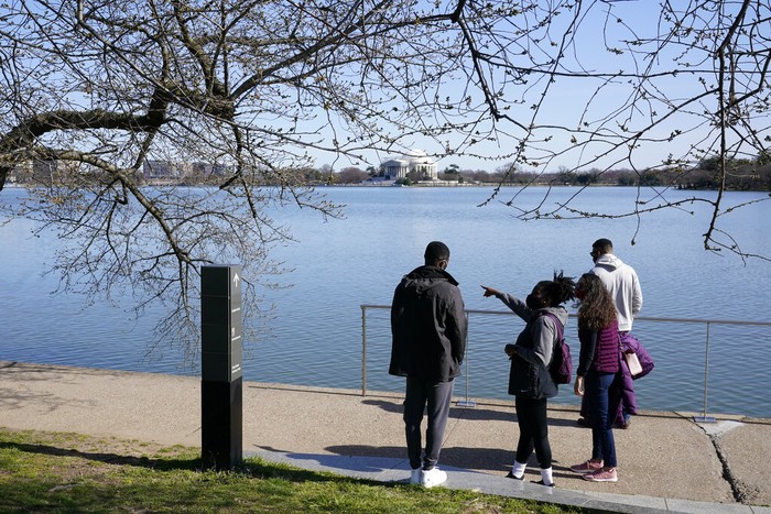 Kawasan Tidal Basin di Washington, Amerika Serikat, menjadi salah satu tempat paling indah saat ini. Apa yang membuatnya seperti itu?