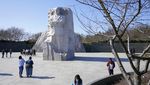 Indah Banget! Foto-foto Bunga Sakura Bermekaran di Washington